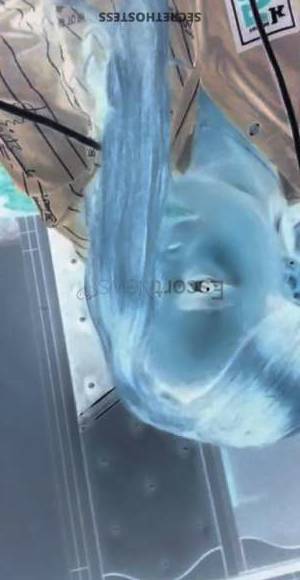 25 year old Escort in Jeddah Independent Model Rheina in Jeddah Flirtatious, Stylish, and