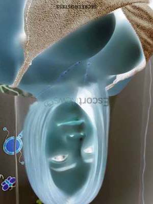 26 year old Asian Escort in Kuala Lumpur Experience Ecstasy SITI - Sultry 26-Year-Old Asian Escort 