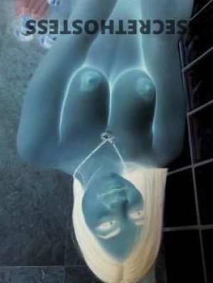 26Yrs Old Escort Sunshine Coast Image - 1