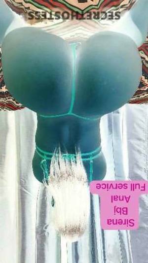 26Yrs Old Escort North Jersey NJ Image - 3