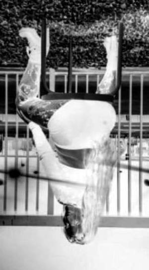28Yrs Old Escort Charlotte NC Image - 2