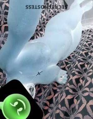 28Yrs Old Escort Wilmington DE Image - 1