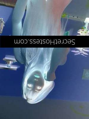 35 year old Escort in Eight Mile Plains Brisbane MILF for horny guys