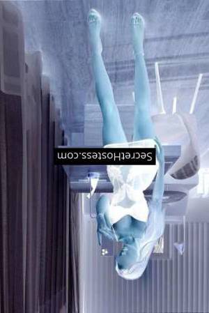 23 year old Caucasian Escort in Berlin Alina agency