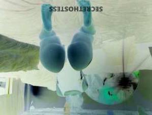 Angel 30Yrs Old Escort 170CM Tall Seattle WA Image - 7