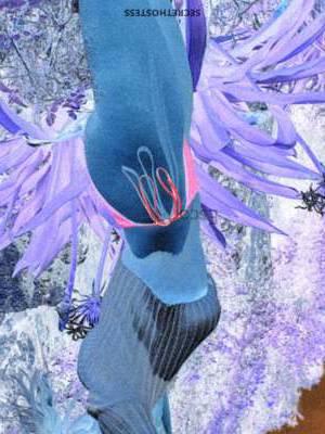 Emily 35Yrs Old Escort 65KG 170CM Tall Ottawa Image - 1