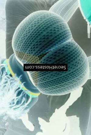 29 year old Mixed Race Escort in Ottawa Honey Shawty, Independent