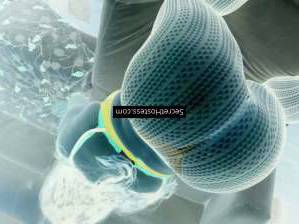 Honey Shawty 29Yrs Old Escort 72KG 162CM Tall Ottawa Image - 8