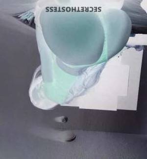 Royal 30Yrs Old Escort Ogden UT Image - 5