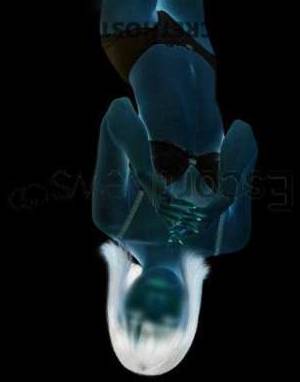 18 year old Asian Escort in Tokyo Experience Unforgettable Pleasure with 18 Year Old Asian 