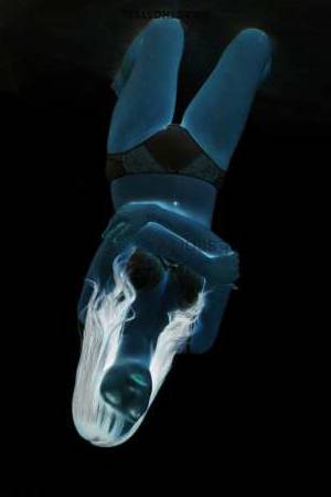 20 year old Asian Escort in Tokyo Experience Exquisite Companionship Meet KOHANE, Your Go-To 