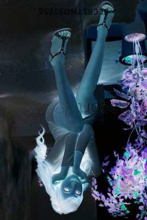 24 year old Asian Escort in Tokyo Experience Isles of Scilly launches – fly from £159pp