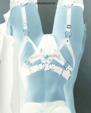 25 year old European Escort in Warsaw Experience the American Dream with European Class An Escort 