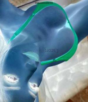28 year old European Escort in Charlotte NC European Escort in Charlotte, Playful Model Rose, Delightful