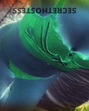 42Yrs Old Escort Wollongong Image - 6