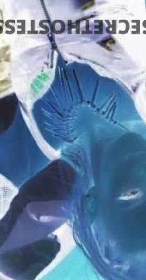 42Yrs Old Escort Wollongong Image - 9
