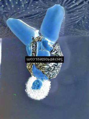 Angel 27Yrs Old Escort 75KG 170CM Tall Guangzhou Image - 4