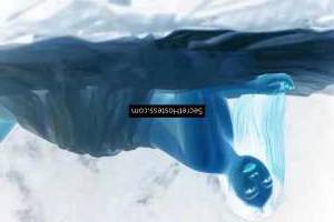 Bobo 30Yrs Old Escort 60KG 162CM Tall Sarajevo Image - 3