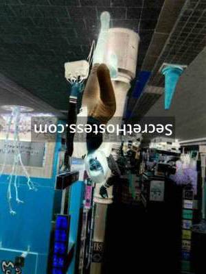 Riko 100% Real pic 25Yrs Old Escort 54KG 170CM Tall Tokyo Image - 5