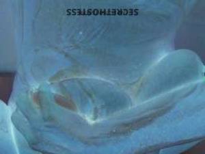 Suzanna 45Yrs Old Escort Biloxi MS Image - 1