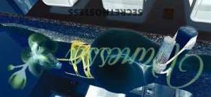 Vanessa 25Yrs Old Escort Space Coast FL Image - 3