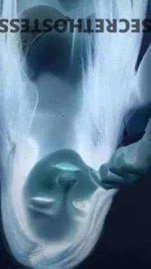 20 year old Escort in Brisbane Attention, Gentlemen! Tempt Your Senses with Captivating 