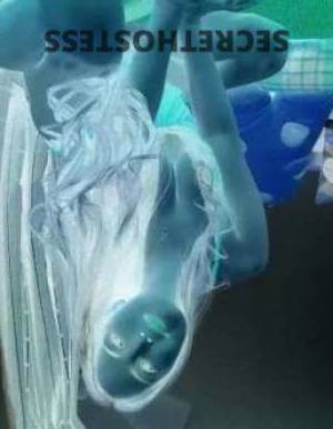 21Yrs Old Escort Melbourne Image - 1