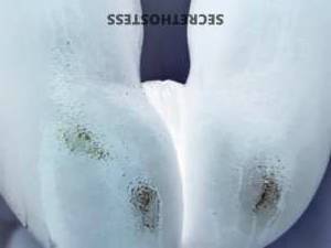 22Yrs Old Escort Savannah GA Image - 3