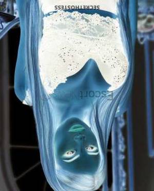 23 year old European Escort in St Petersburg Independent Model and European Escort Alena Striking 