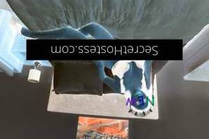 24Yrs Old Escort Sunshine Coast Image - 5