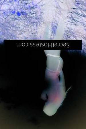 29Yrs Old Escort 160CM Tall Sunshine Coast Image - 3