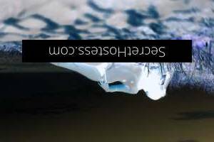 29Yrs Old Escort 160CM Tall Sunshine Coast Image - 15