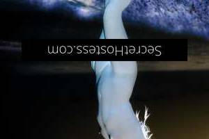 29Yrs Old Escort 160CM Tall Sunshine Coast Image - 17