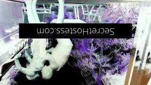 30Yrs Old Escort Wollongong Image - 18
