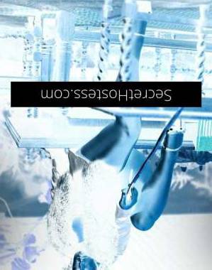 30Yrs Old Escort Size 10 164CM Tall Melbourne Image - 22