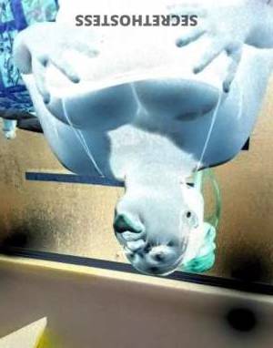 Juicy 26Yrs Old Escort Long Beach CA Image - 4