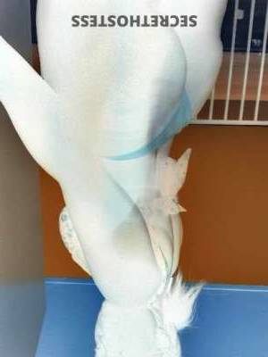 Kelly 38Yrs Old Escort Panama City FL Image - 1