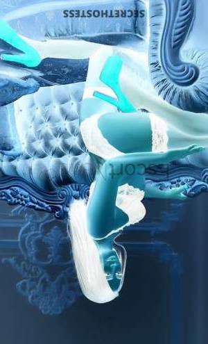 21Yrs Old Escort 53KG 168CM Tall Milan Image - 3