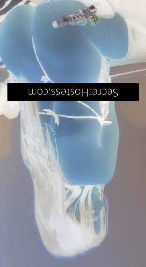 24 year old Escort in Sydney Mia Wallace Your Naughty Dream Come True - Passionate GFE, 