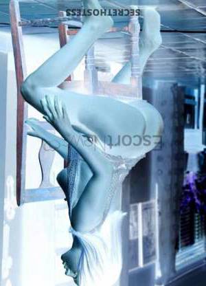 24 year old European Escort in St Petersburg European Model at Your Disposal 24 y/o, brown eyes, and a 