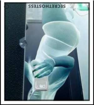25Yrs Old Escort South Jersey NJ Image - 3