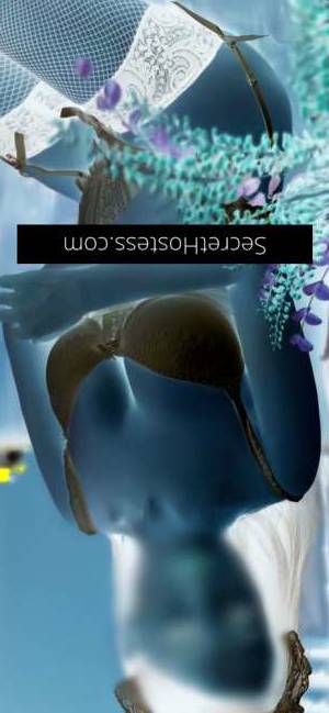 26Yrs Old Escort Brisbane Image - 6