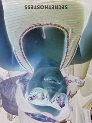 28 year old Escort in Dayton OH Thick Thigh Thursday - 28 Year Old Middle Eastern Escort in 