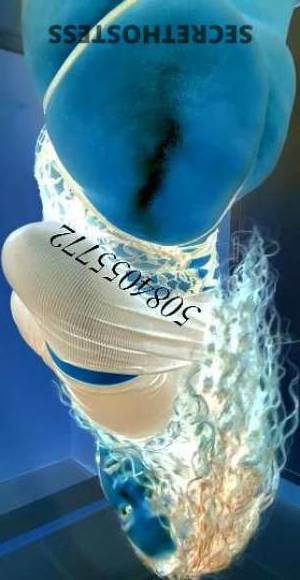 GCupLatina 26Yrs Old Escort Providence RI Image - 2