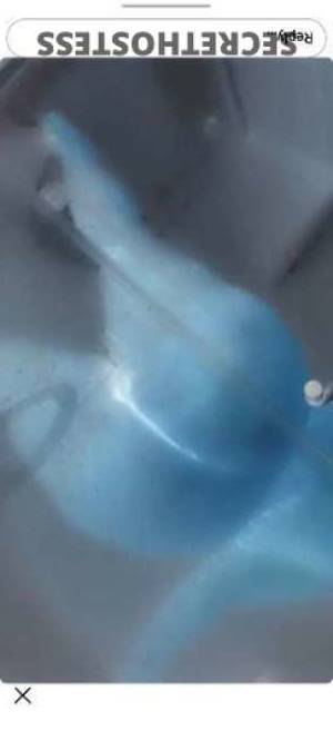 PRETTY 27Yrs Old Escort Chesapeake VA Image - 9