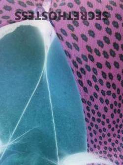 44Yrs Old Escort Size 10 Perth Image - 3