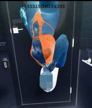 23Yrs Old Escort Treasure Coast FL Image - 3