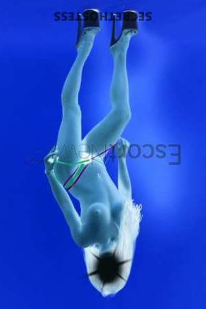 23Yrs Old Escort 52KG 170CM Tall Yorkshire Image - 2