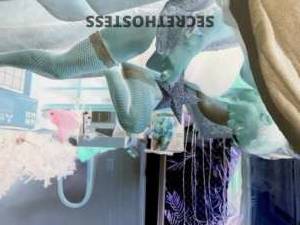 28 year old Escort in Currajong Townsville Escort Seeking Cash in Townsville