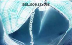 27 year old Asian Escort in Buderim Sunshine Coast Welcome to Sunshine Coast Alice, the J Cup size 12 Asian 